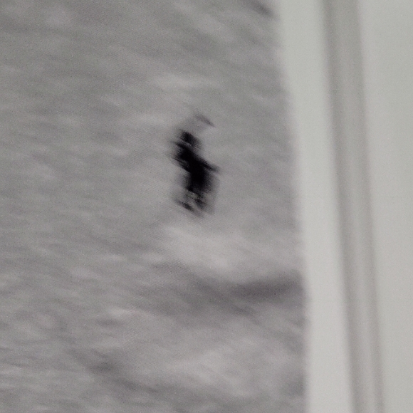 Polo Ralph Lauren Light Gray Men's Athletic Shorts - Picture 4 of 5